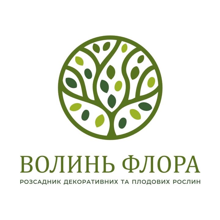 Волинь Флора