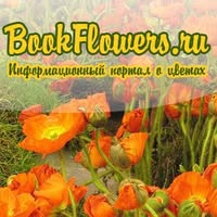 Энциклопедия Цветов и Растений