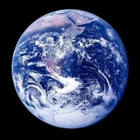 Ecological Consciousness