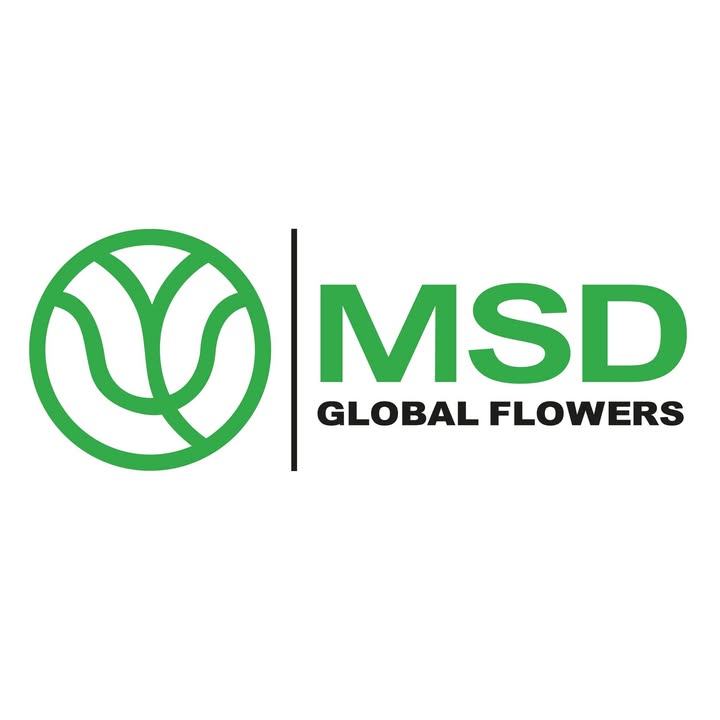 MSD Global Flowers