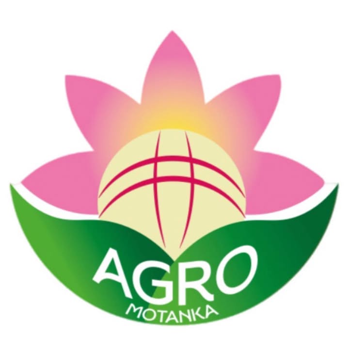 Agro.Motanka