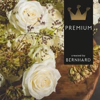 Bernhard Premium