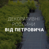 Декоративні рослини від Петровича