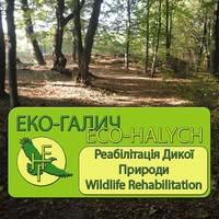 Eco-Halych: Wildlife Rehab         Реабілітація дикої природи