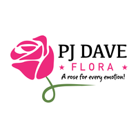 PJ Dave Flora