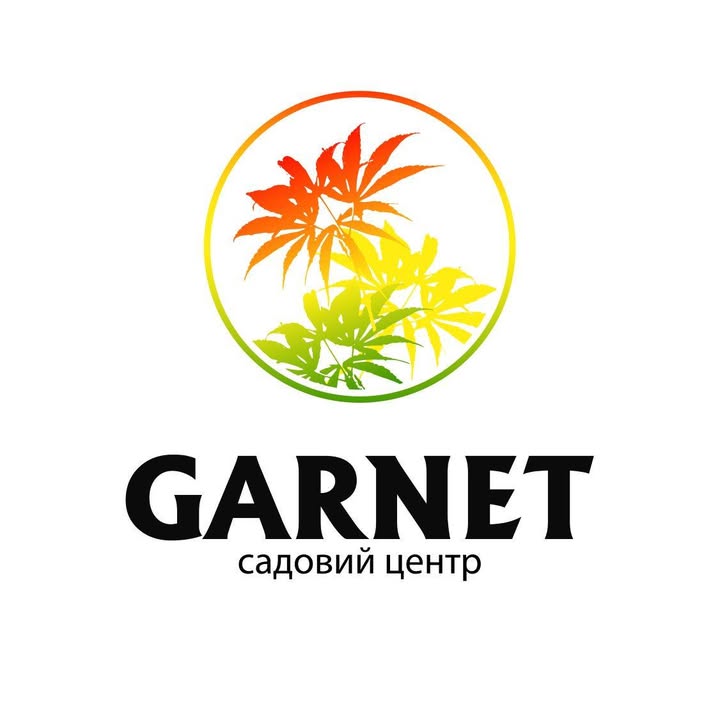 Андрій Шелест
