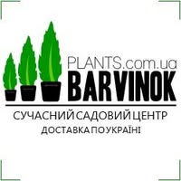 Barvinok-Plants
