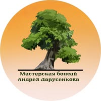 Мастерская бонсай и ниваки Андрея Дарусенкова