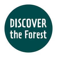Discover the Forest