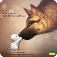 Доброта•UA ⋘допомога тваринам⋙