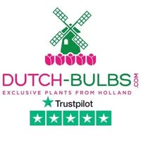 DUTCH-BULBS.COM