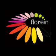 Florein Gerbera’s