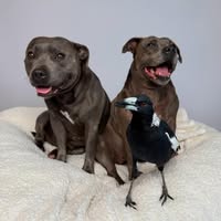 Peggy and Molly