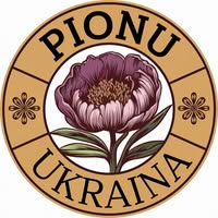 Півонія Півонія