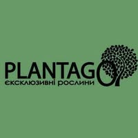 Plantago - магазин импортных растений