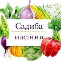 Садиба насіння
