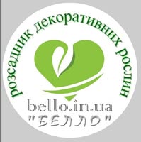 Самбір Декоративні Рослини