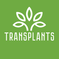 Transplants: служба доставки рослин