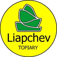 Владимир Ляпчев