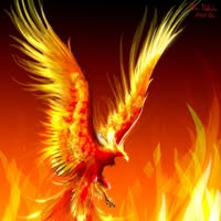 Wings Phoenix