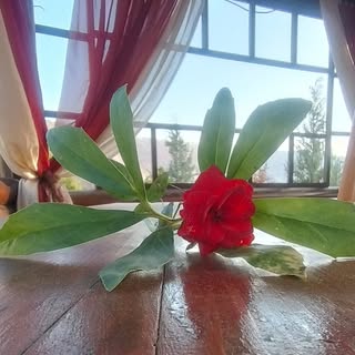 Оксана Седюк